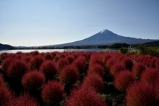 富士観光開発株式会社のプレスリリース画像3