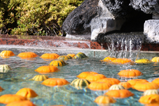 富士観光開発株式会社のプレスリリース画像2