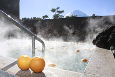 富士観光開発株式会社のプレスリリース画像6