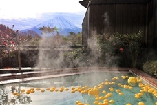 富士観光開発株式会社のプレスリリース画像3