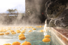 富士観光開発株式会社のプレスリリース画像4