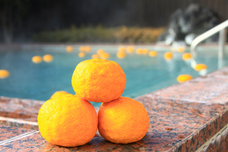 富士観光開発株式会社のプレスリリース画像2