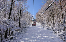 富士観光開発株式会社のプレスリリース画像4