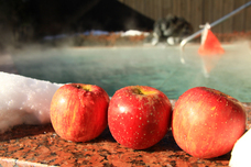 富士観光開発株式会社のプレスリリース画像2