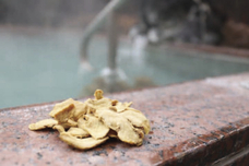 富士観光開発株式会社のプレスリリース画像2