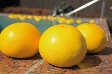 富士観光開発株式会社のプレスリリース画像2