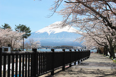 富士観光開発株式会社のプレスリリース画像2