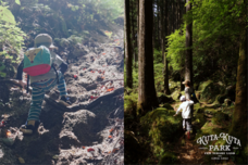 富士観光開発株式会社のプレスリリース画像2