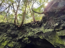 富士観光開発株式会社のプレスリリース画像5