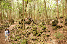 富士観光開発株式会社のプレスリリース画像2