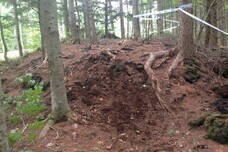 富士観光開発株式会社のプレスリリース画像5