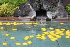 富士観光開発株式会社のプレスリリース画像1