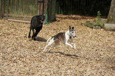 富士観光開発株式会社のプレスリリース画像7