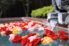 富士観光開発株式会社のプレスリリース画像3