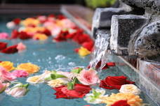 富士観光開発株式会社のプレスリリース画像5