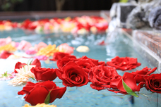 富士観光開発株式会社のプレスリリース画像2