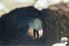 富士観光開発株式会社のプレスリリース画像1