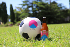 富士観光開発株式会社のプレスリリース画像4