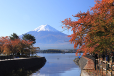 富士観光開発株式会社のプレスリリース画像2