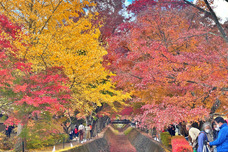 富士観光開発株式会社のプレスリリース画像6