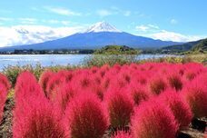 富士観光開発株式会社のプレスリリース画像5