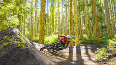 富士観光開発株式会社のプレスリリース画像6