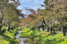 富士観光開発株式会社のプレスリリース画像3