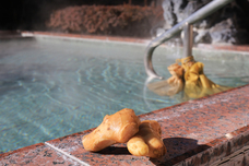 富士観光開発株式会社のプレスリリース画像2