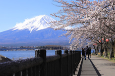 富士観光開発株式会社のプレスリリース画像3