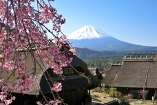 富士観光開発株式会社のプレスリリース画像4