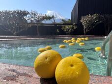 富士観光開発株式会社のプレスリリース画像3