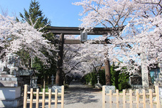 富士観光開発株式会社のプレスリリース画像4