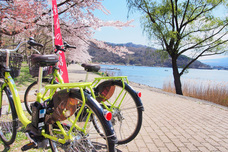 富士観光開発株式会社のプレスリリース画像7