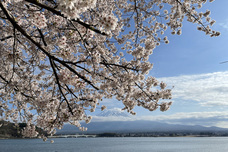 富士観光開発株式会社のプレスリリース画像1