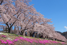 富士観光開発株式会社のプレスリリース画像8