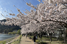 富士観光開発株式会社のプレスリリース画像5