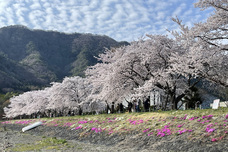 富士観光開発株式会社のプレスリリース画像6