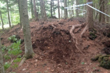 富士観光開発株式会社のプレスリリース画像5