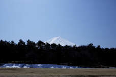 富士観光開発株式会社のプレスリリース画像3