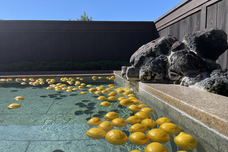 富士観光開発株式会社のプレスリリース画像5