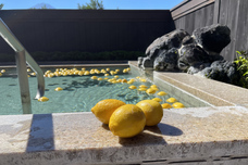 富士観光開発株式会社のプレスリリース画像1