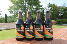 富士観光開発株式会社のプレスリリース画像1