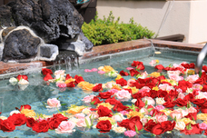 富士観光開発株式会社のプレスリリース画像4