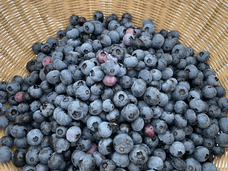 富士観光開発株式会社のプレスリリース画像3