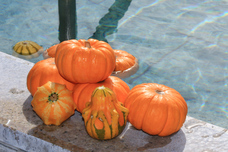 富士観光開発株式会社のプレスリリース画像2