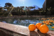 富士観光開発株式会社のプレスリリース画像1