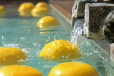 富士観光開発株式会社のプレスリリース画像2