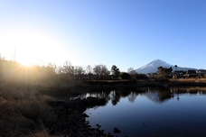 富士観光開発株式会社のプレスリリース画像7