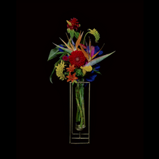 Ivreのプレスリリース画像1