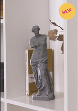 株式会社CAST JAPANのプレスリリース画像4